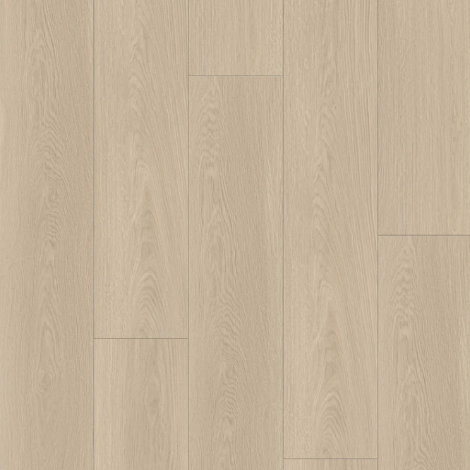 6.5mm | AP6501 Alpha