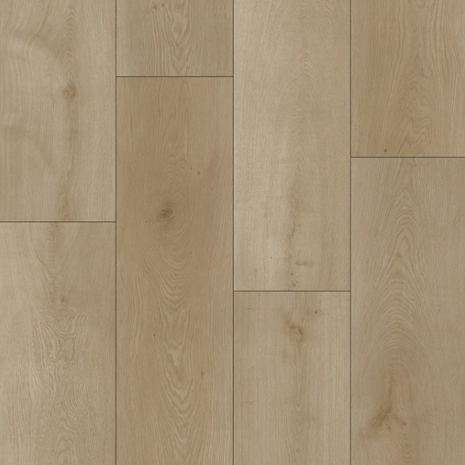 6.5mm | AP6503 Beirut