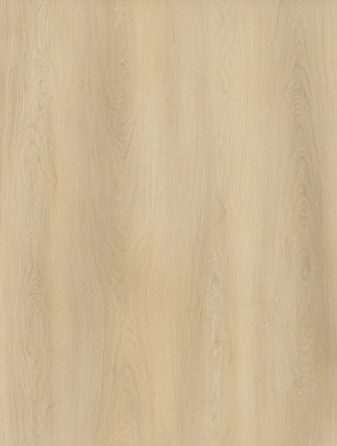 7.0mm | AP7001 Angel