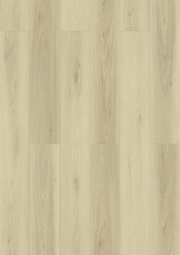 12mm Laminate | Ambrose